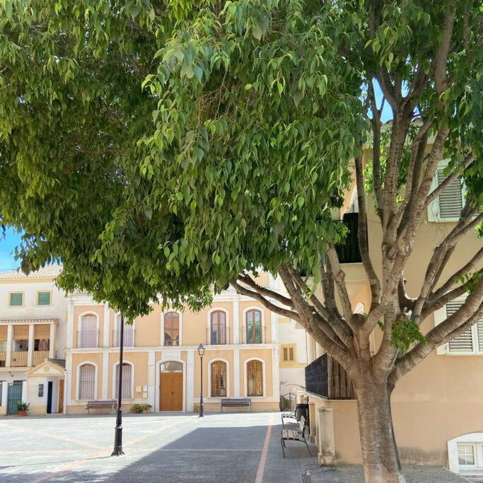 Apartamento Mediterraneo Entre Vinedos Jesus Pobre Eksteriør bilde