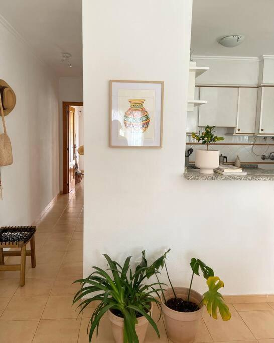 Apartamento Mediterraneo Entre Vinedos Jesus Pobre Eksteriør bilde